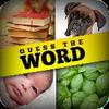Guess The Word