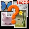 guess the word 4 pics 1 word