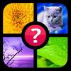 guess the word 4 pics 1 word