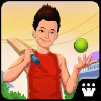 gully cricket game - 2016