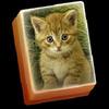 hidden mahjong cat tails: free kitten game gamelinkexchange