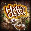 hidden objects