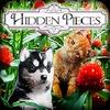 hidden pieces - spring babies gamelinkexchange