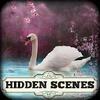 hidden scenes - winter spring