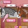 horse care - mane braiding gamelinkexchange