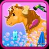 horse princess wash and cleanup