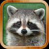 kids learn about animals gamelinkexchange