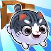 kitty in the box 2