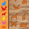 learn colors for toddlers