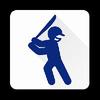 live iplt20 cricket