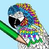 mandala - adults colouring book gamelinkexchange