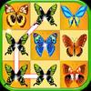 match butterfly
