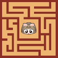 maze cat - rookie