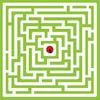 maze challenge