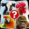 memory game: animals