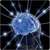 memory trainer
