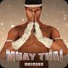 muay thai - fighting origins gamelinkexchange