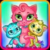 my fluffy new kitty cat 2 gamelinkexchange