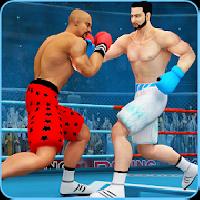 ninja punch boxing warrior: kung fu karate fighter