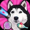 pet vet doctor animal hospital