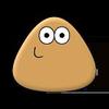 Pou