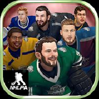 puzzle hockey