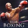 real boxing  ko fighting game gamelinkexchange