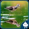 reflection jigsaw puzzles gamelinkexchange