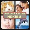 resimli kelime nekibu gamelinkexchange