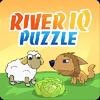 river iq puzzle