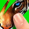 scratch&#58; guess animal