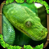 snake simulator