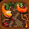 Snakes And Ladders