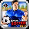 soccer career 2017