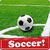 soccer rage strick 2017