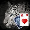 solitaire leopard theme gamelinkexchange