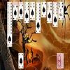 spider solitaire