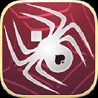 spider solitaire
