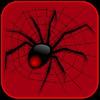 spider solitaire