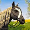 star equestrian - horse ranch gamelinkexchange