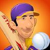 stick cricket premier league