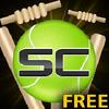 street cricket