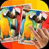 tap 5 differences gamelinkexchange