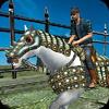 temple horse run