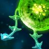 tentacle wars  gamelinkexchange