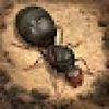 the ants: underground kingdom gamelinkexchange