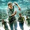 the maze runner