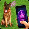 training dog clicker trinket gamelinkexchange