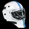 virtual goaltender gamelinkexchange