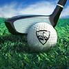 wgt golf game by topgolf gamelinkexchange